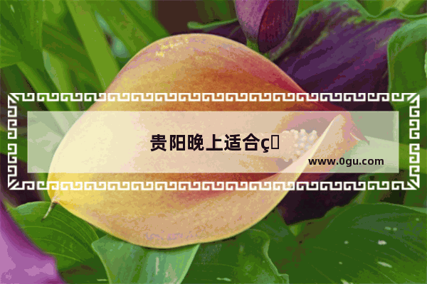 贵阳晚上适合男人玩的地方
