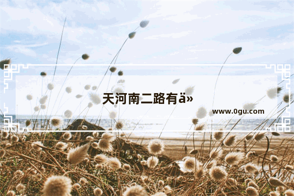 天河南二路有什么好吃的