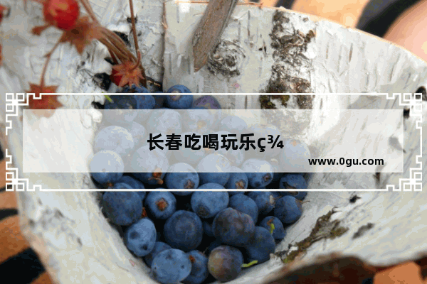 长春吃喝玩乐美食推荐店在哪里开的