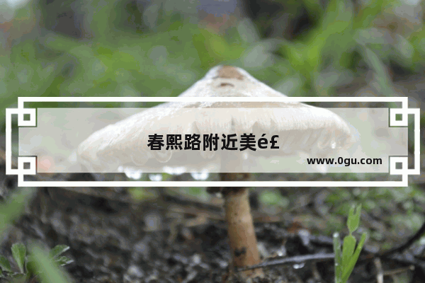 春熙路附近美食推荐店有哪些呢多少钱一位