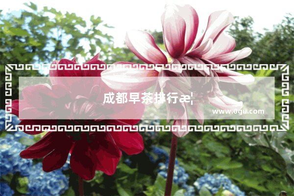 成都早茶排行榜前十名