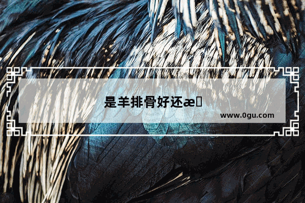 是羊排骨好还是猪排骨好
