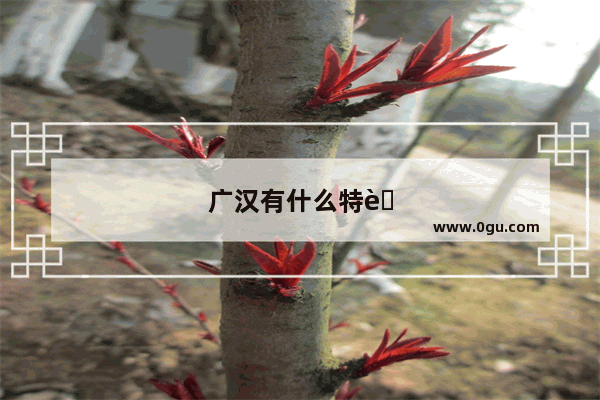 广汉有什么特色美食推荐吃的好吃又便宜的