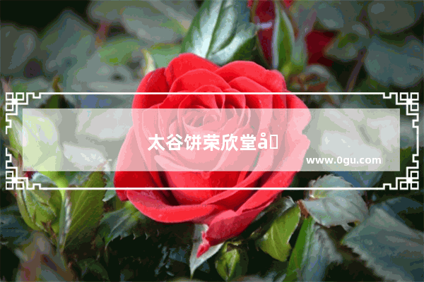 太谷饼荣欣堂和鑫炳记哪家好吃