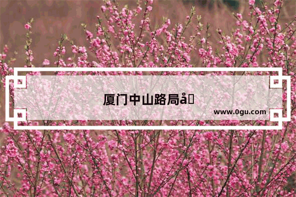 厦门中山路局口拌面哪家正宗