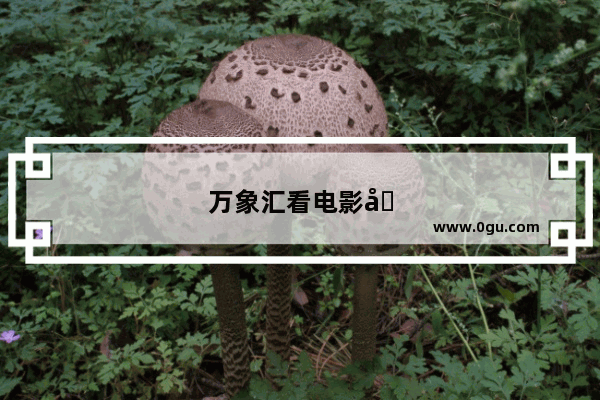 万象汇看电影免停车费么