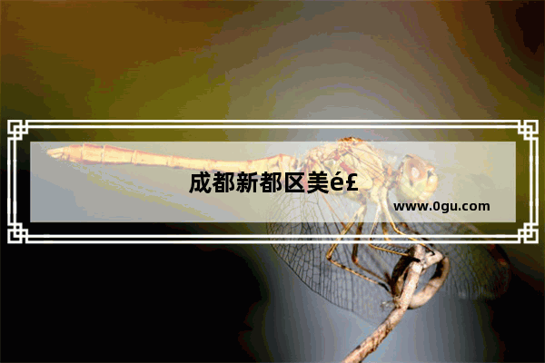 成都新都区美食推荐店铺有哪些呢