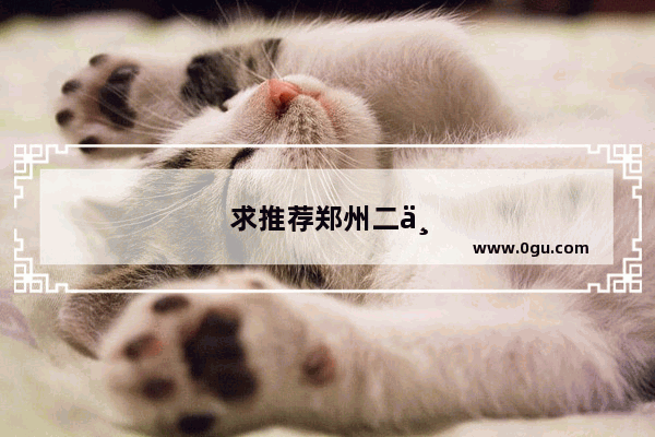 求推荐郑州二七区的民宿