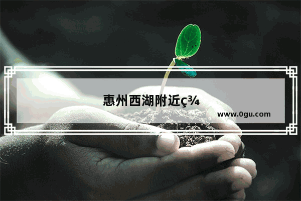 惠州西湖附近美食推荐餐厅有哪些呢电话
