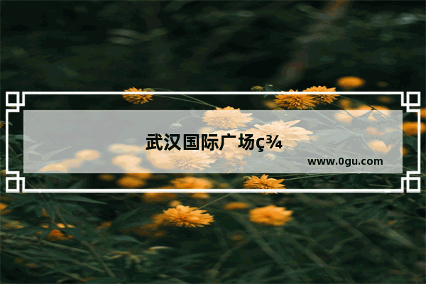 武汉国际广场美食推荐店铺地址电话