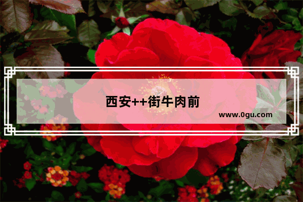 西安++街牛肉前十名