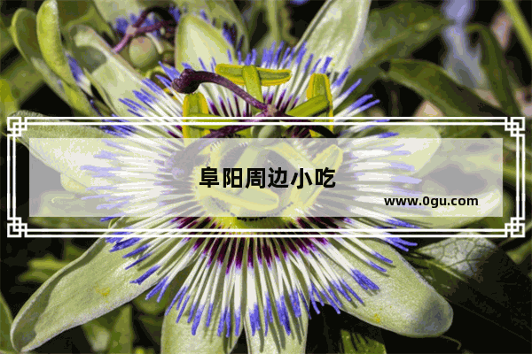 阜阳周边小吃