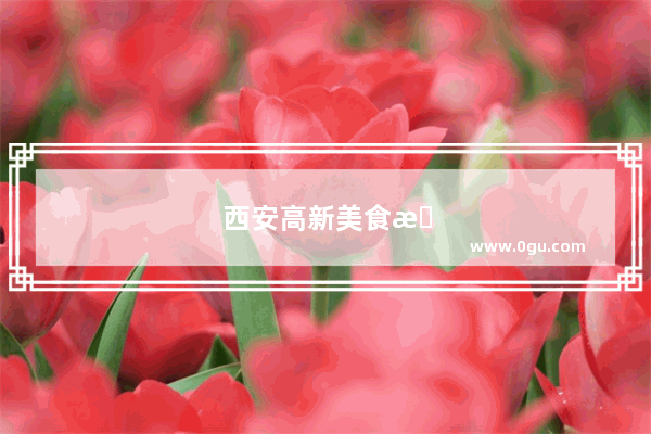 西安高新美食推荐地方有哪些好吃的店
