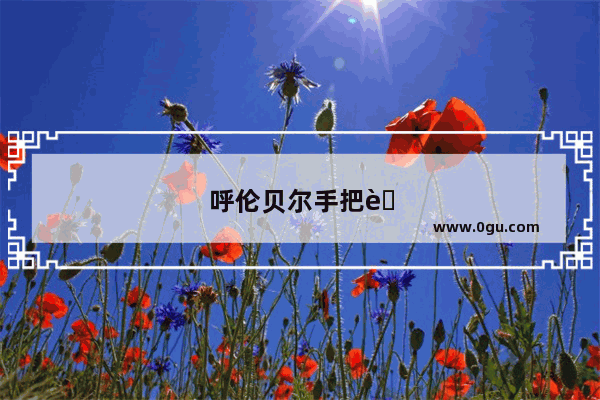 呼伦贝尔手把肉哪家好吃