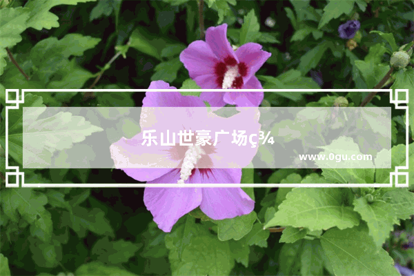 乐山世豪广场美食推荐在哪里吃的