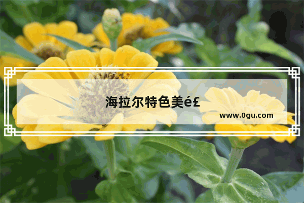 海拉尔特色美食推荐店铺地址在哪
