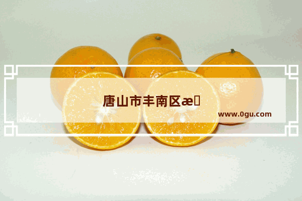 唐山市丰南区有哪些饭店
