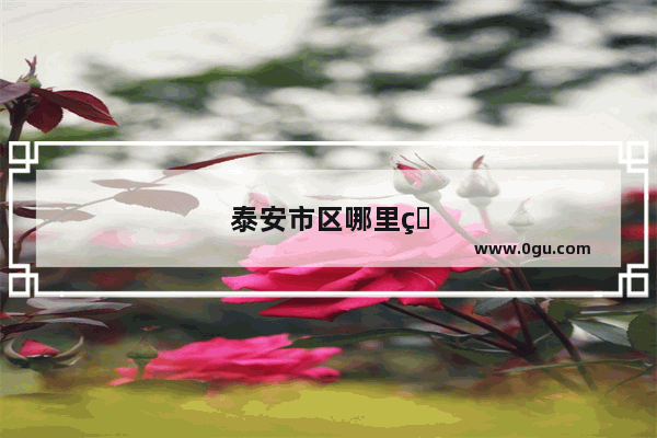 泰安市区哪里的麻辣烫比较好吃