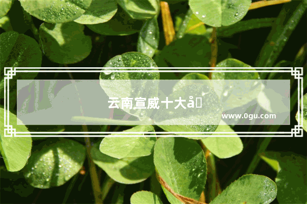 云南宣威十大名小吃