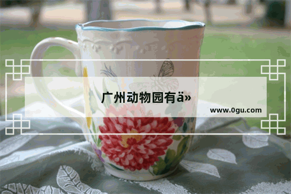广州动物园有什么好吃的地方推荐