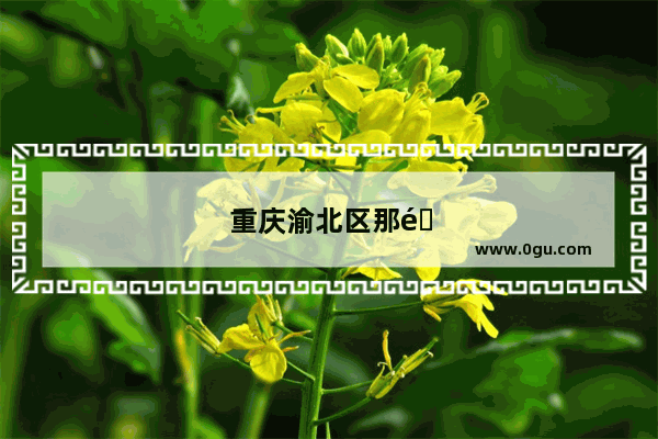 重庆渝北区那里有好吃的食品