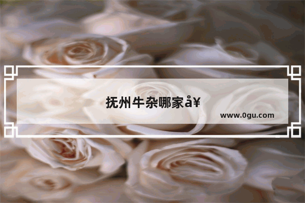 抚州牛杂哪家好吃