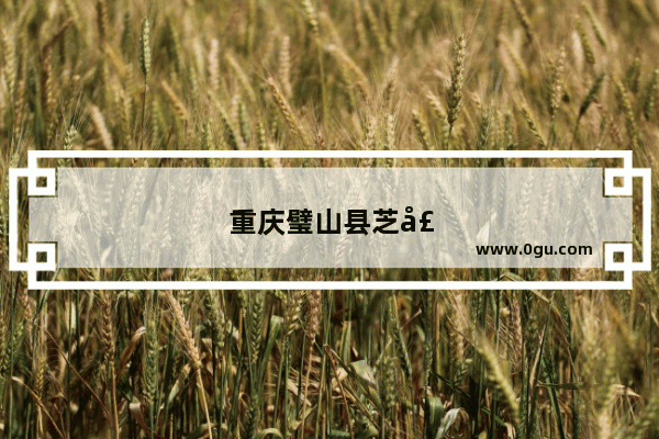 重庆璧山县芝士蛋糕好吃吗