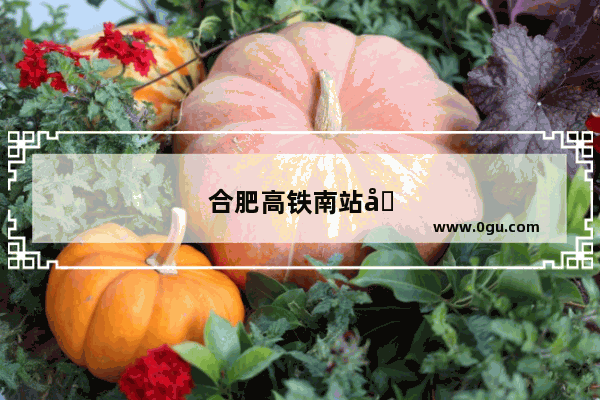 合肥高铁南站到城隍庙怎么走