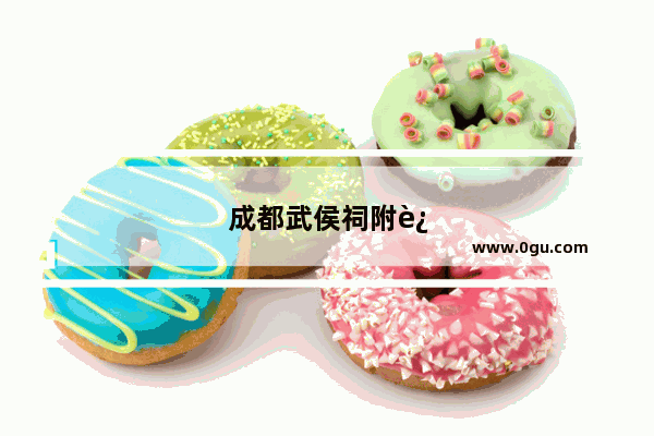 成都武侯祠附近的美食推荐店铺地址在哪里呀