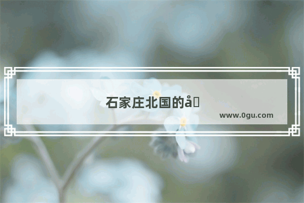 石家庄北国的哪家超市的东西最多最全啊