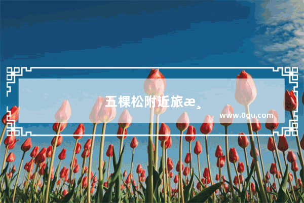 五棵松附近旅游景点