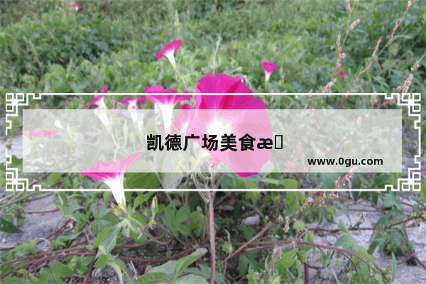 凯德广场美食推荐南海店在几楼卖的好