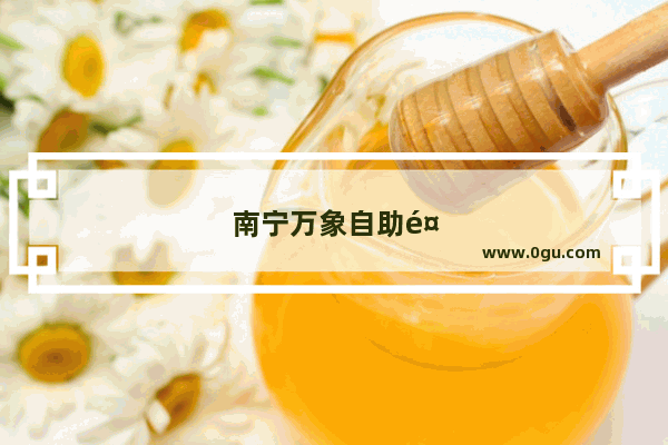 南宁万象自助餐攻略