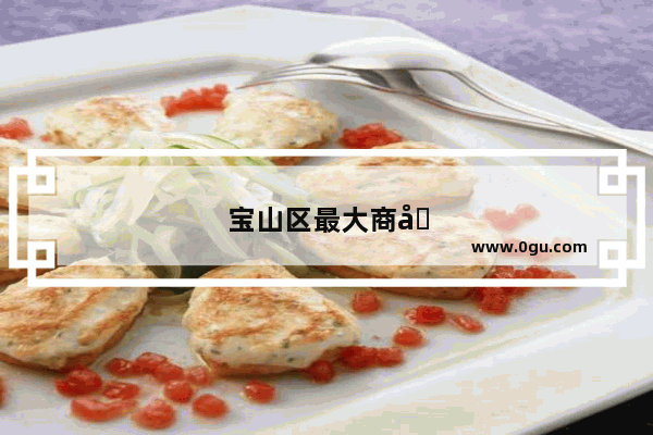 宝山区最大商圈