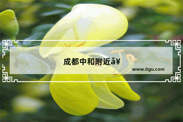 成都中和附近好吃的美食推荐店有哪些呢