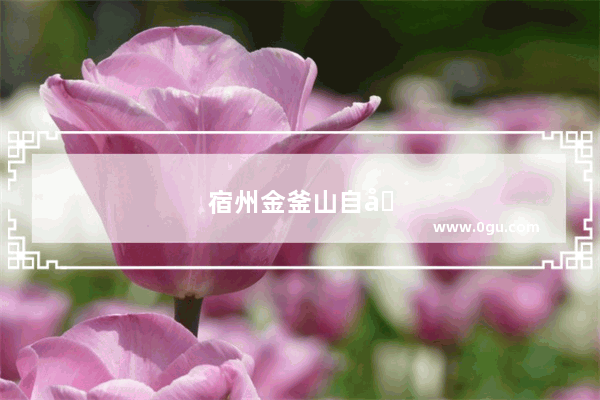 宿州金釜山自助烤肉多少钱