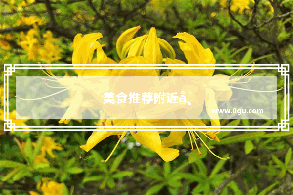 美食推荐附近市区店有哪些店铺呢