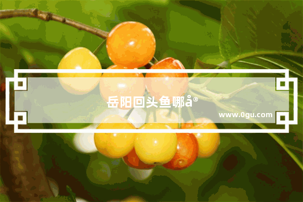 岳阳回头鱼哪家好吃