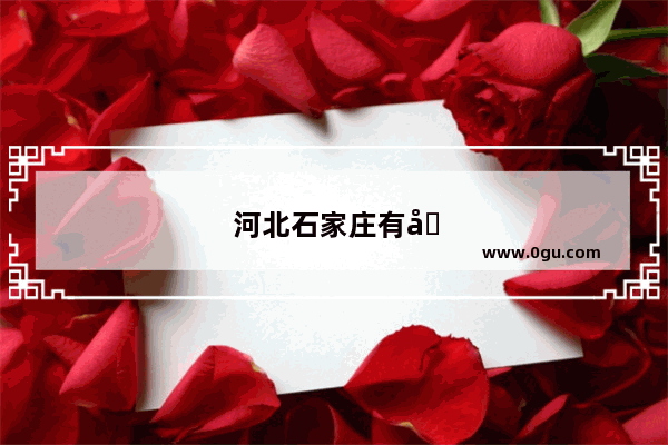 河北石家庄有哪些有名的大超市