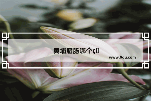 黄埔腊肠哪个牌子正宗