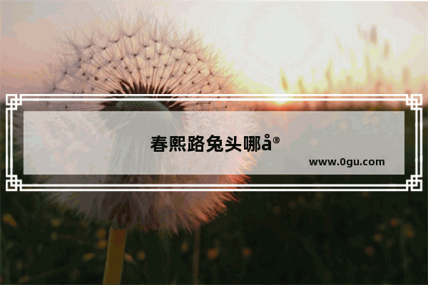 春熙路兔头哪家最好吃