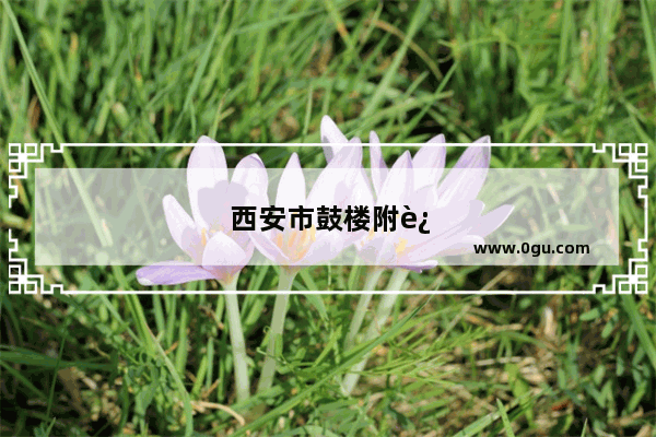 西安市鼓楼附近美食推荐餐厅有哪些