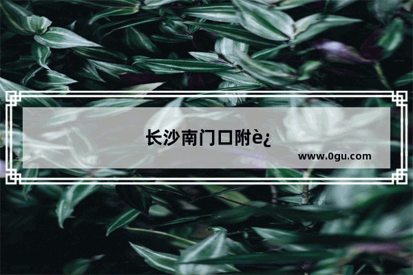 长沙南门口附近美食推荐店铺地址电话