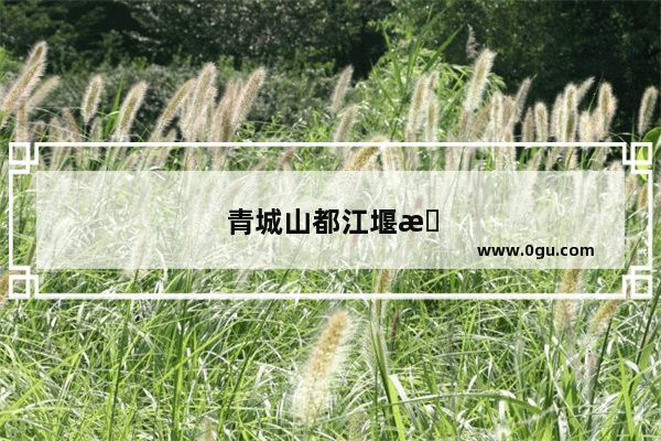 青城山都江堰有什么可买的纪念品