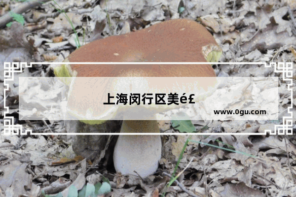 上海闵行区美食推荐餐厅有哪些地方好吃