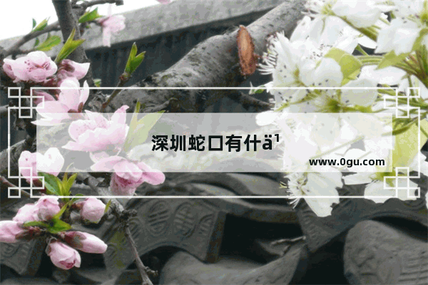 深圳蛇口有什么旅游景点