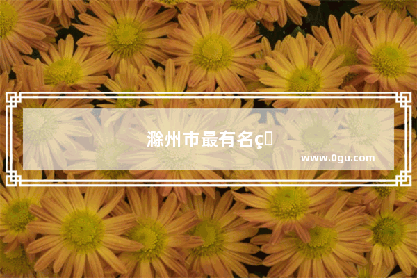 滁州市最有名的小吃什么什么啊