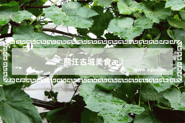 丽江古城美食推荐店有哪些店铺名字