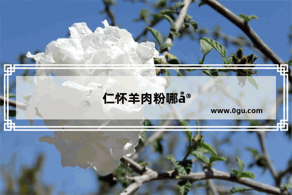 仁怀羊肉粉哪家最正宗