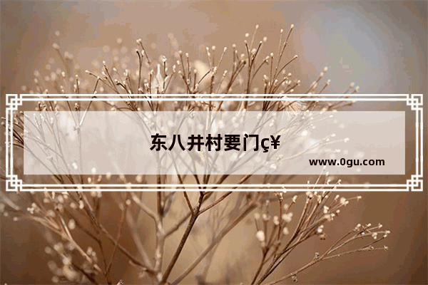 东八井村要门票吗